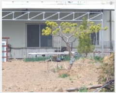  2025Ÿ��619  �����