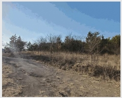  2025Ÿ639  õ Ӱ ȣ 964      ()