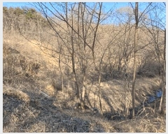  2025Ÿ639  õ Ӱ ȣ 964      ()