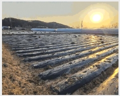  2025Ÿ639  õ Ӱ ȣ 964      ()