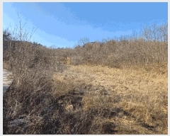  2025Ÿ639  õ Ӱ ȣ 964      ()