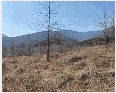  2025Ÿ639  õ Ӱ ȣ 964      ()