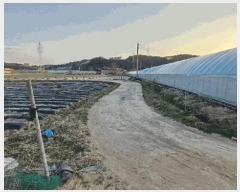  2025Ÿ639  õ Ӱ ȣ 964      ()