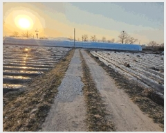  2025Ÿ639  õ Ӱ ȣ 964      ()