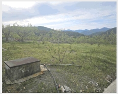  2025Ÿ��673 ��� û���� ��õ�� ������ 865      ����(��1)���