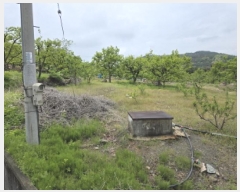  2025Ÿ��673 ��� û���� ��õ�� ������ 865      ����(��1)���