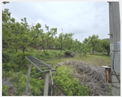  2025Ÿ��673 ��� û���� ��õ�� ������ 865      ����(��1)���