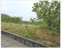  2025Ÿ��673 ��� û���� ��õ�� ������ 865      ����(��1)���