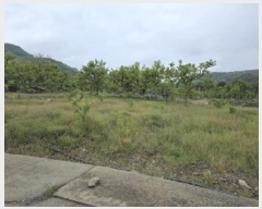  2025Ÿ��673 ��� û���� ��õ�� ������ 865      ����(��1)���