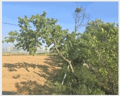  2025Ÿ767 뱸  ȣ 531-1       ()