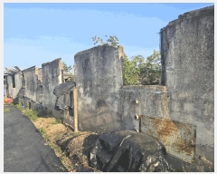  2025Ÿ767 뱸  ȣ 531-1       ()