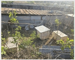  2025Ÿ767 뱸  ȣ 531-1       ()