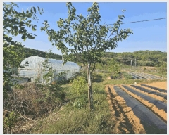  2025Ÿ767 뱸  ȣ 531-1       ()