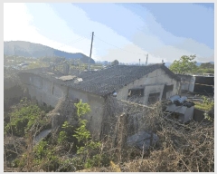  2025Ÿ767 뱸  ȣ 531-1       ()