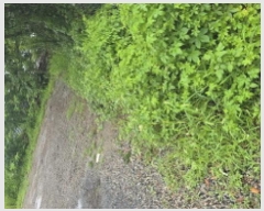  2025Ÿ781 뱸 ϱ ϵ 518       (1)