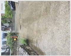  2025Ÿ781 뱸 ϱ ϵ 518       (1)