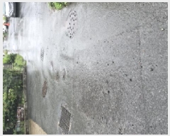  2025Ÿ781 뱸 ϱ ϵ 518       (1)