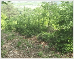  2025Ÿ��787 ��� û���� ������ �忬�� ��38      ����(�Ӿ�)���