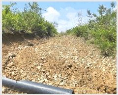  2025Ÿ��787 ��� û���� ������ �忬�� ��38      ����(�Ӿ�)���