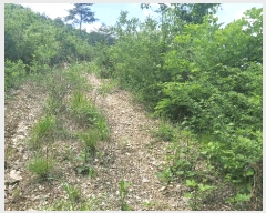  2025Ÿ��787 ��� û���� ������ �忬�� ��38      ����(�Ӿ�)���