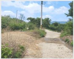  2025Ÿ��787 ��� û���� ������ �忬�� ��38      ����(�Ӿ�)���