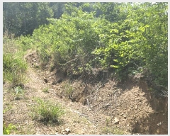  2025Ÿ��787 ��� û���� ������ �忬�� ��38      ����(�Ӿ�)���