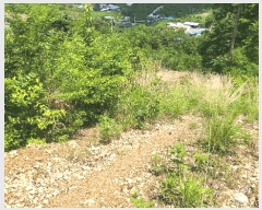  2025Ÿ��787 ��� û���� ������ �忬�� ��38      ����(�Ӿ�)���