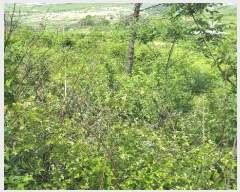  2025Ÿ��787 ��� û���� ������ �忬�� ��38      ����(�Ӿ�)���