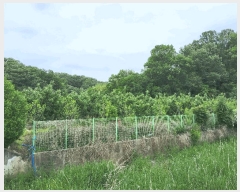  2025Ÿ830   ̸ ϸ 111-1      ()