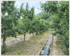  2025Ÿ830   ̸ ϸ 111-1      ()