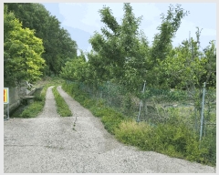  2025Ÿ830   ̸ ϸ 111-1      ()