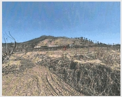  2025Ÿ��6578  ����