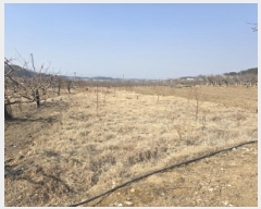  2025Ÿ��6578  ����