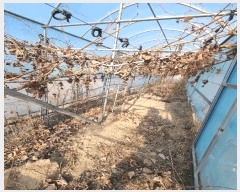  2025Ÿ7255  õ  317       (1)