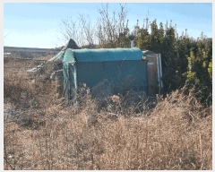  2025Ÿ7255  õ  317       (1)