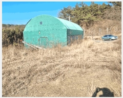  2025Ÿ7255  õ  317       (1)