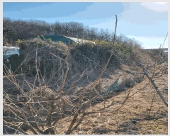  2025Ÿ7255  õ  317       (1)