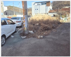  2025Ÿ��7285  �������