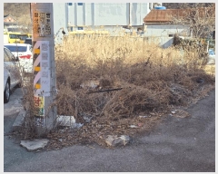  2025Ÿ��7285  �������