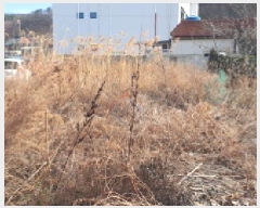  2025Ÿ��7285  �������