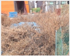  2025Ÿ��7285  �������