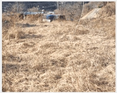  2025Ÿ��7287 ��� ���� �뼺�� ���̸� ��39-16      ����(�Ӿ�)���