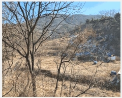  2025Ÿ��7287 ��� ���� �뼺�� ���̸� ��39-16      ����(�Ӿ�)���