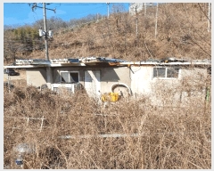  2025Ÿ��7287 ��� ���� �뼺�� ���̸� ��39-16      ����(�Ӿ�)���