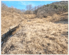  2025Ÿ��7287 ��� ���� �뼺�� ���̸� ��39-16      ����(�Ӿ�)���