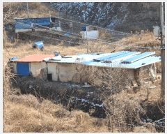  2025Ÿ��7287 ��� ���� �뼺�� ���̸� ��39-16      ����(�Ӿ�)���