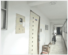  2025Ÿ7343 뱸  ȿ 337 ¿ոƮνƼ 111 2205ȣ    Ʈ