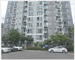  2025Ÿ7343 뱸  ȿ 337 ¿ոƮνƼ 111 2205ȣ    Ʈ