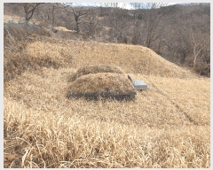  2025Ÿ7361  û  긮 30      (1)