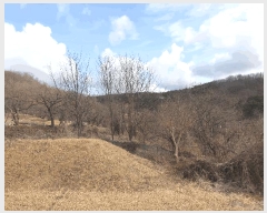  2025Ÿ7361  û  긮 30      (1)